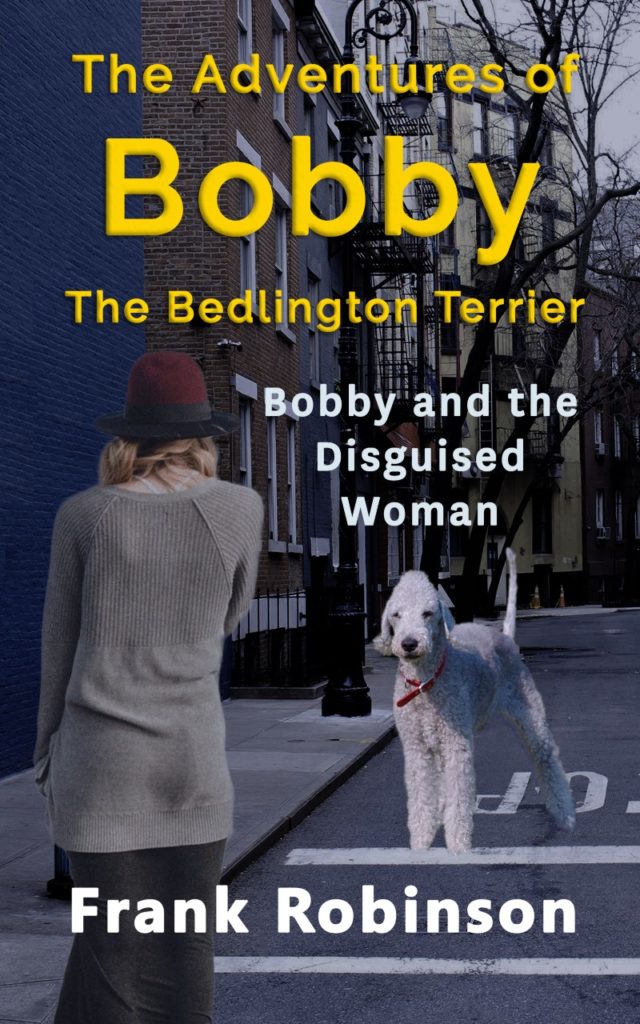 Bobby And The Disguised Woman - Cover