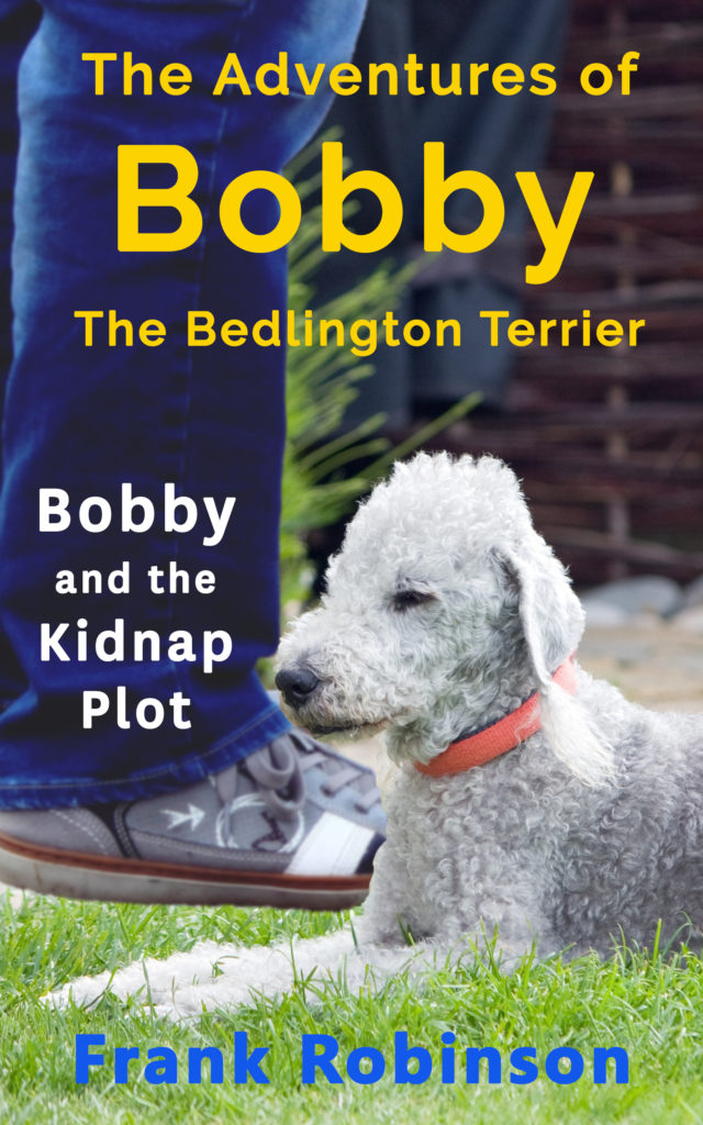 Bobby And The Kidnap Plot - Cover