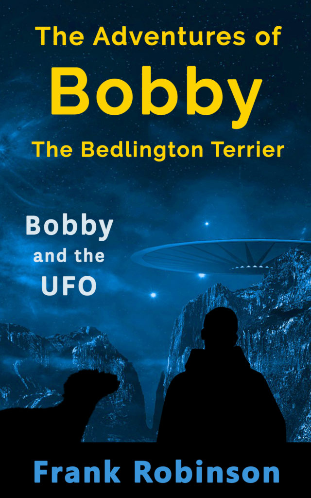 Bobby And The UFO - Cover